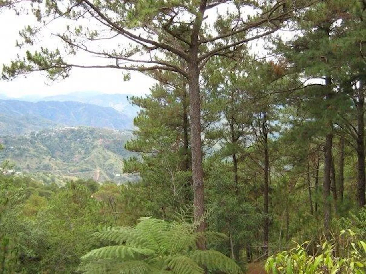 Japan’s Zip to study cable car system in Baguio’s Camp John Hay