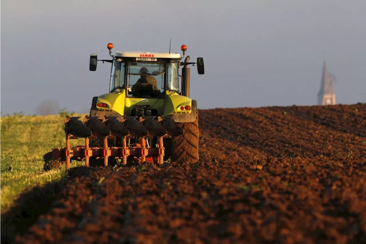 Bauern warten auf Sonne für die Ernte - und Entlastungen