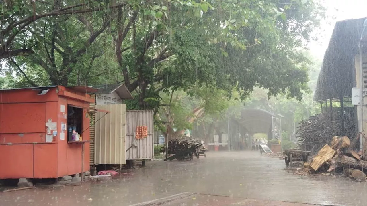 Delhi Rain: दिल्ली-NCR में झमाझम बारिश ने गर्मी से दिलाई राहत, लेकिन उमस ने खड़ी की समस्या