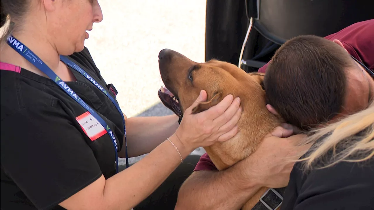 Veterinarians provide health care services for pets of the unhoused population in Austin