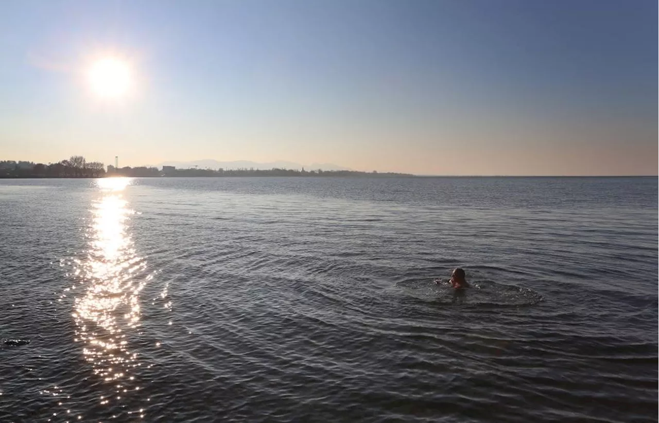 Innerhalb eines Tages zwei Leichen im Bodensee entdeckt