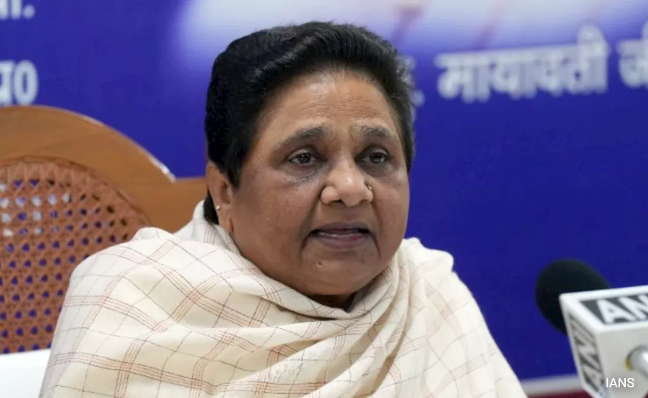 BSP सुप्रीमो मायावती ने भतीजे आकाश आनंद को फिर बनाया अपना उत्तराधिकारी