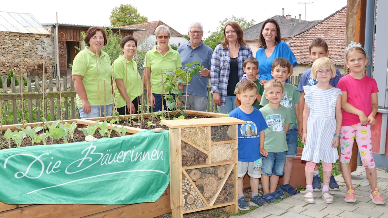 Bäuerinnen sorgen für Ernte im Kindergarten Unterretzbach