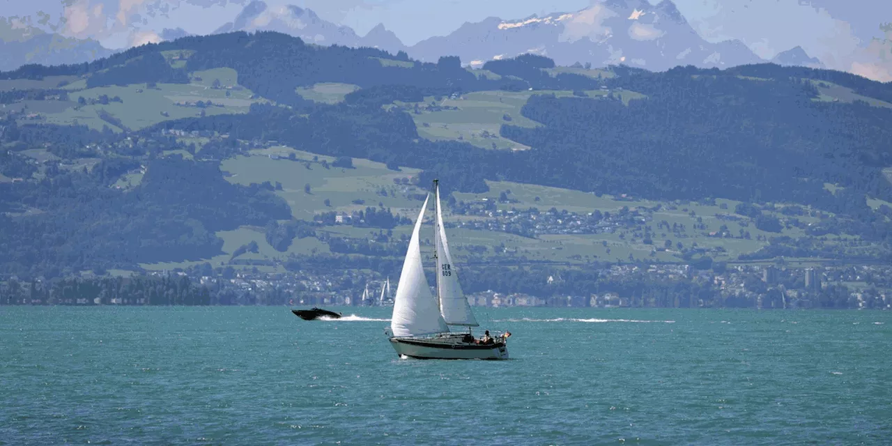 Zweite Leiche im Bodensee gefunden