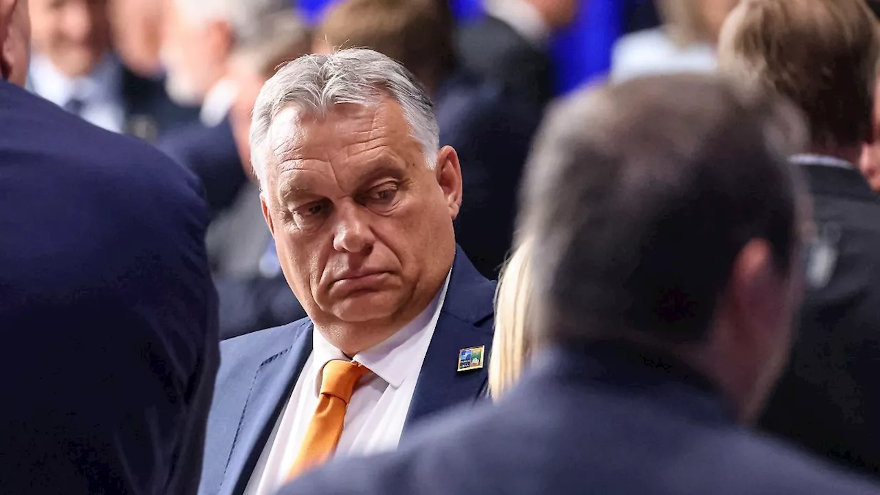 'Deshalb bin ich für Trump': Orban sieht US-Präsidenten als Ukraine-Friedensstifter