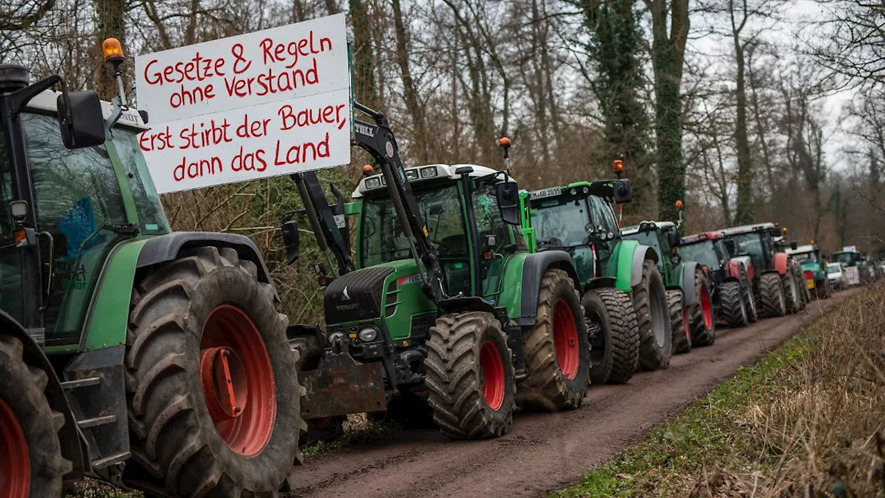 'Unmut ist nicht verflogen': Bauernverband warnt Ampel vor 'Wortbruch' bei Entlastungen