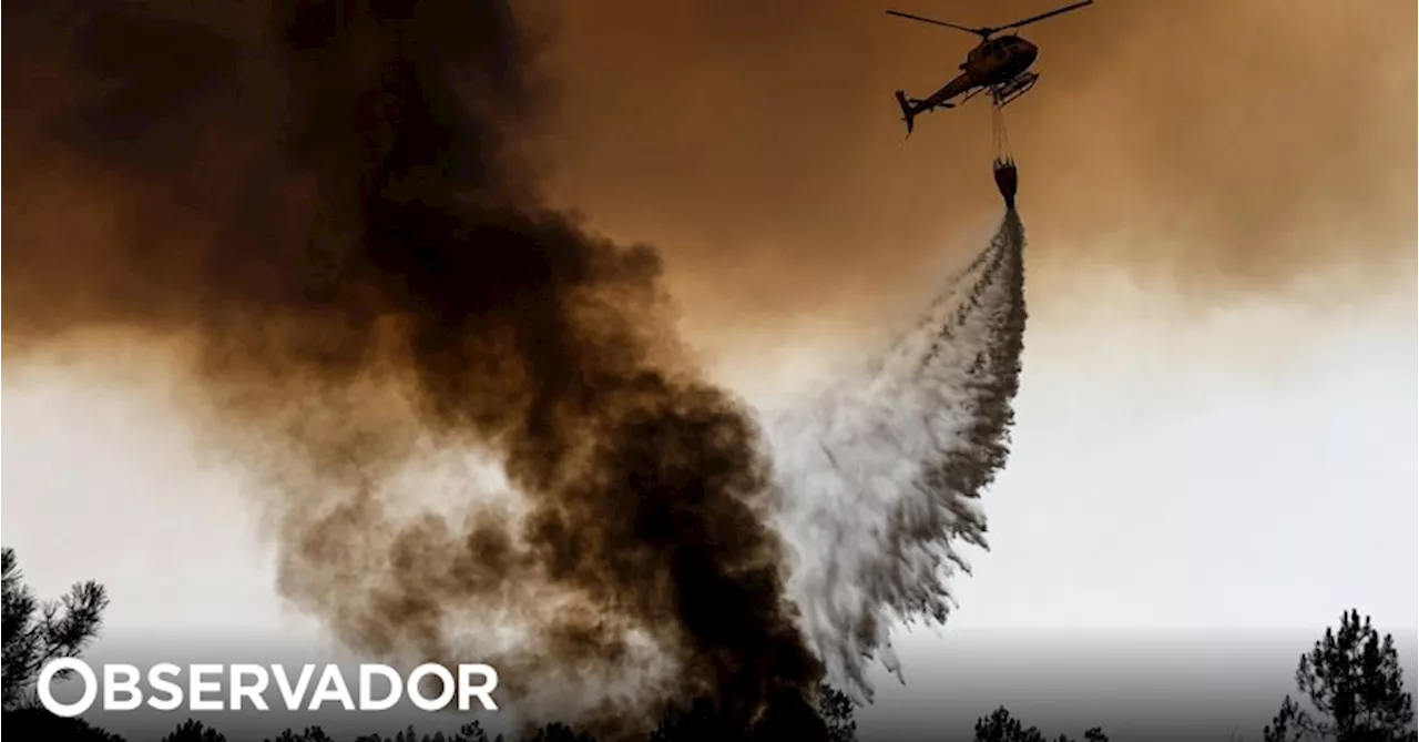 São Brás de Alportel e Tavira em risco máximo de incêndio