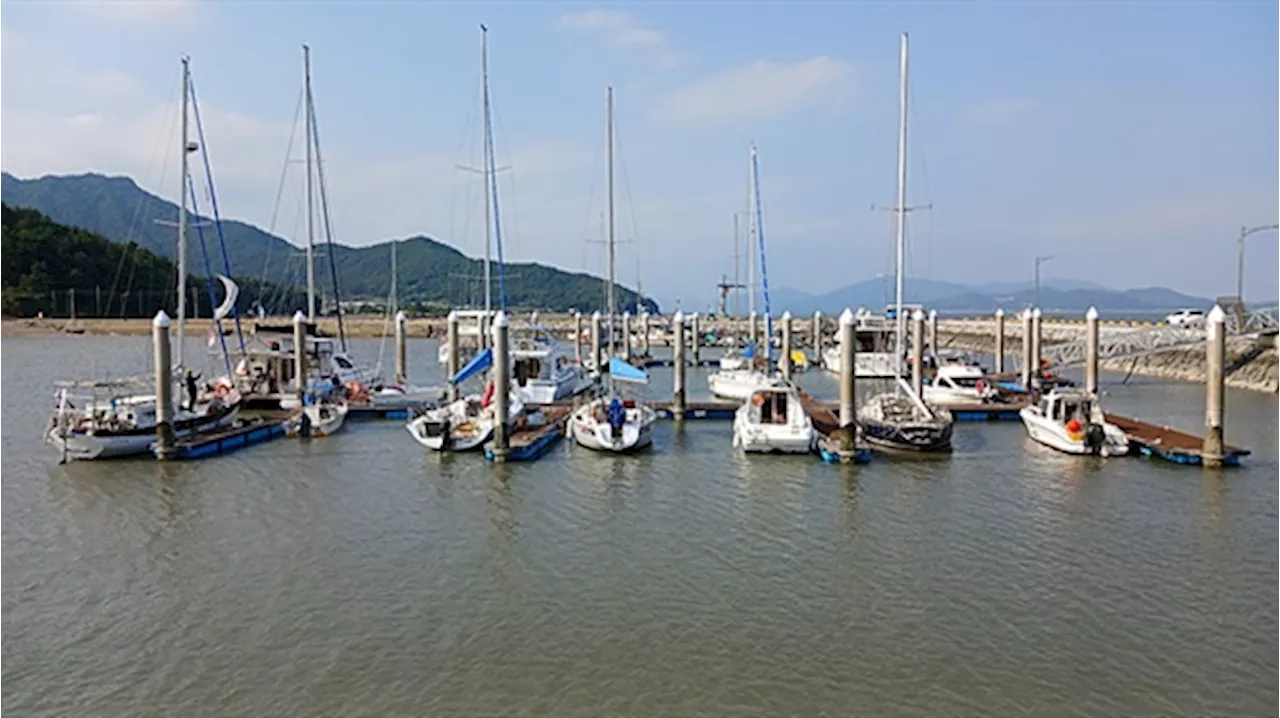 삼도수군통제사로 재임명된 이순신, 반격을 준비하다