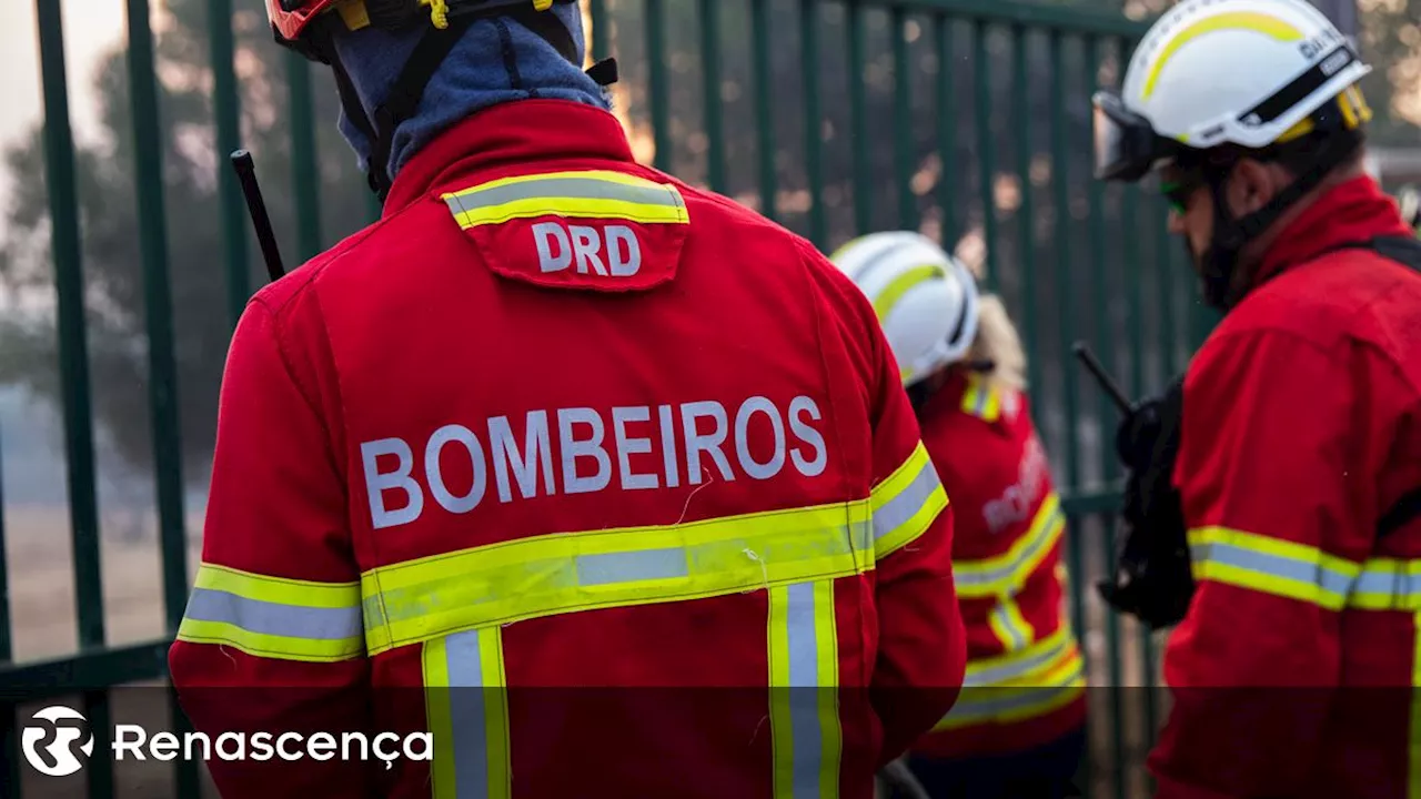 Bombeiros combatem incêndio numa fábrica no concelho de Marco de Canaveses