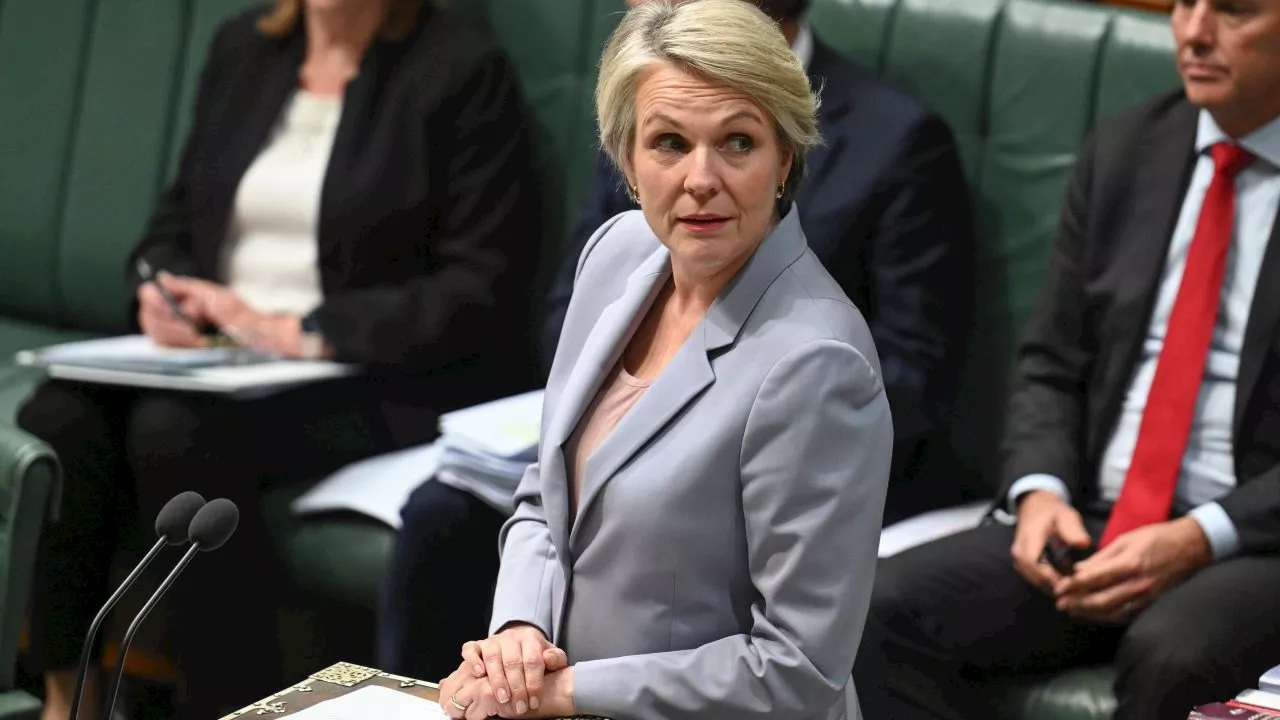 ‘I mean, seriously’: Plibersek goes on the attack over Coalition’s nuclear plan