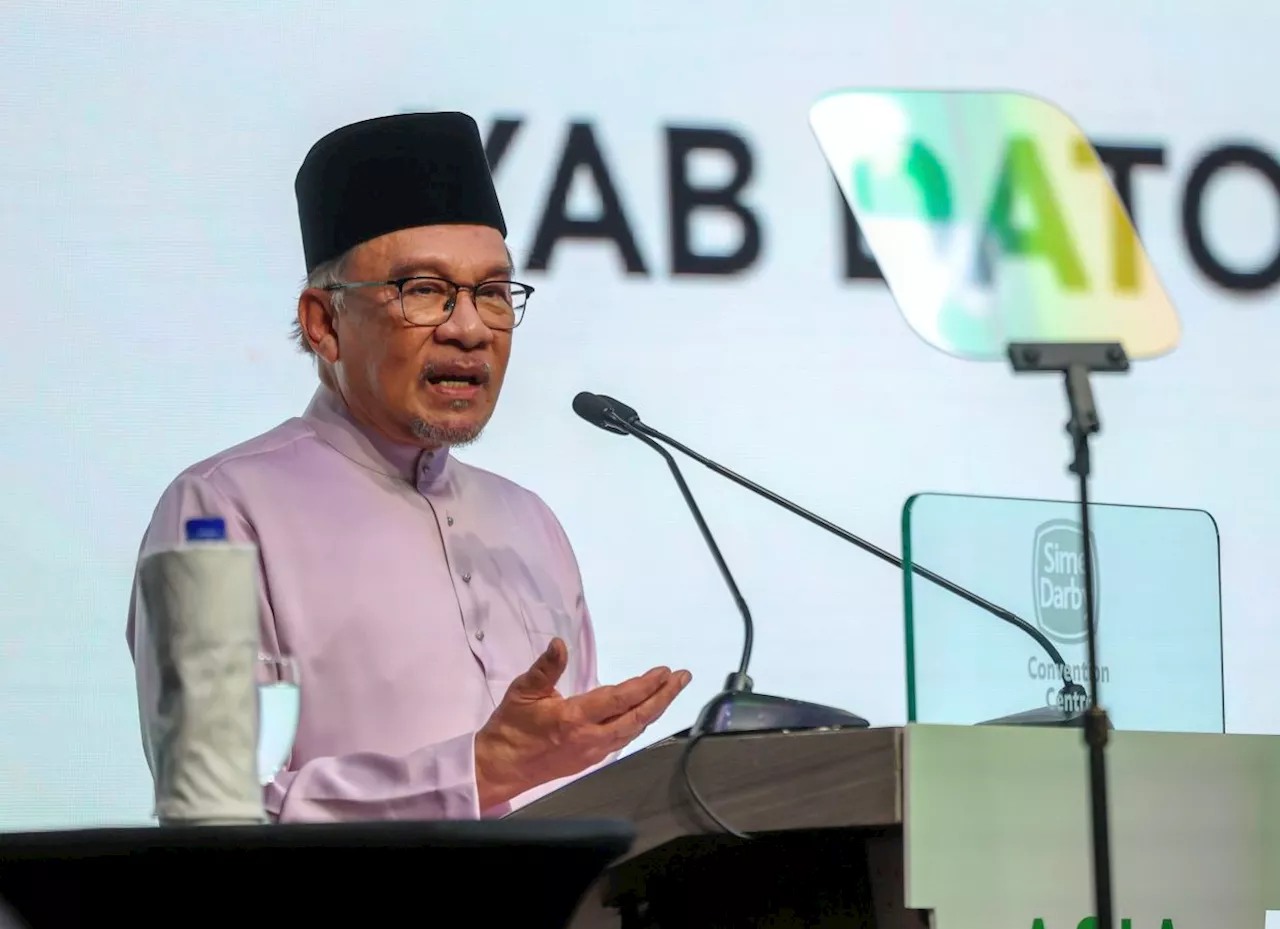 Govt committed to reducing carbon footprint, promoting sustainable practices, says Anwar