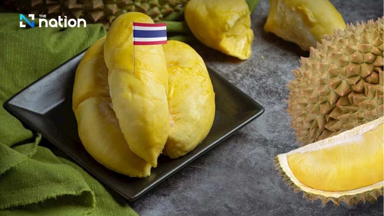 Thai durian flown to Qingdao, serving premium northern China market