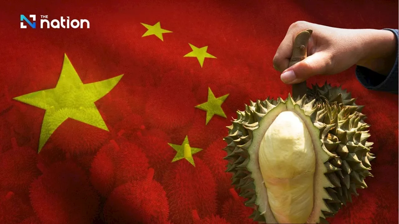 The rise of Hainan durian a wake-up call for Thai growers and exporters