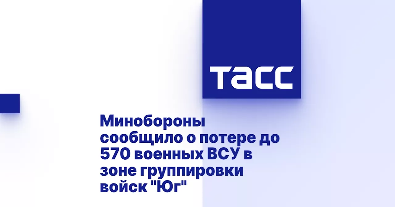 Минобороны сообщило о потере до 570 военных ВСУ в зоне группировки войск 'Юг'