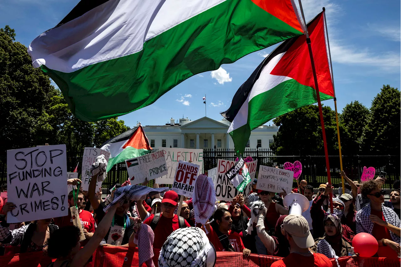 Palestine Has Reignited US Left Internationalism. Can We Keep the Fire Alive?