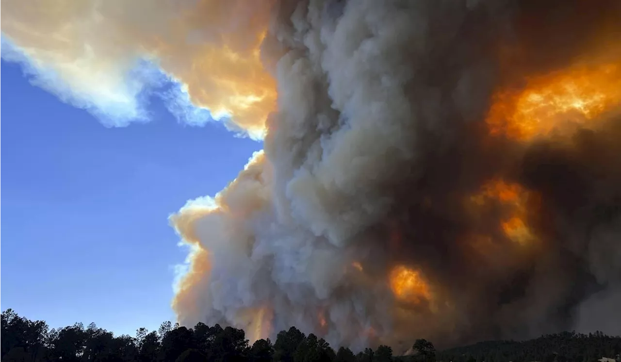 Rains, cooler weather help firefighters gain ground on large wildfires in southern New Mexico