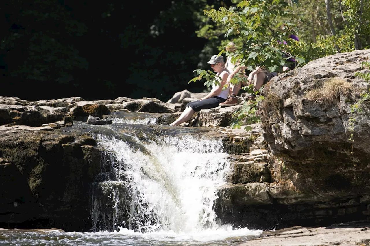 Decline in the ecological status of rivers in the Yorkshire Dales is a worry