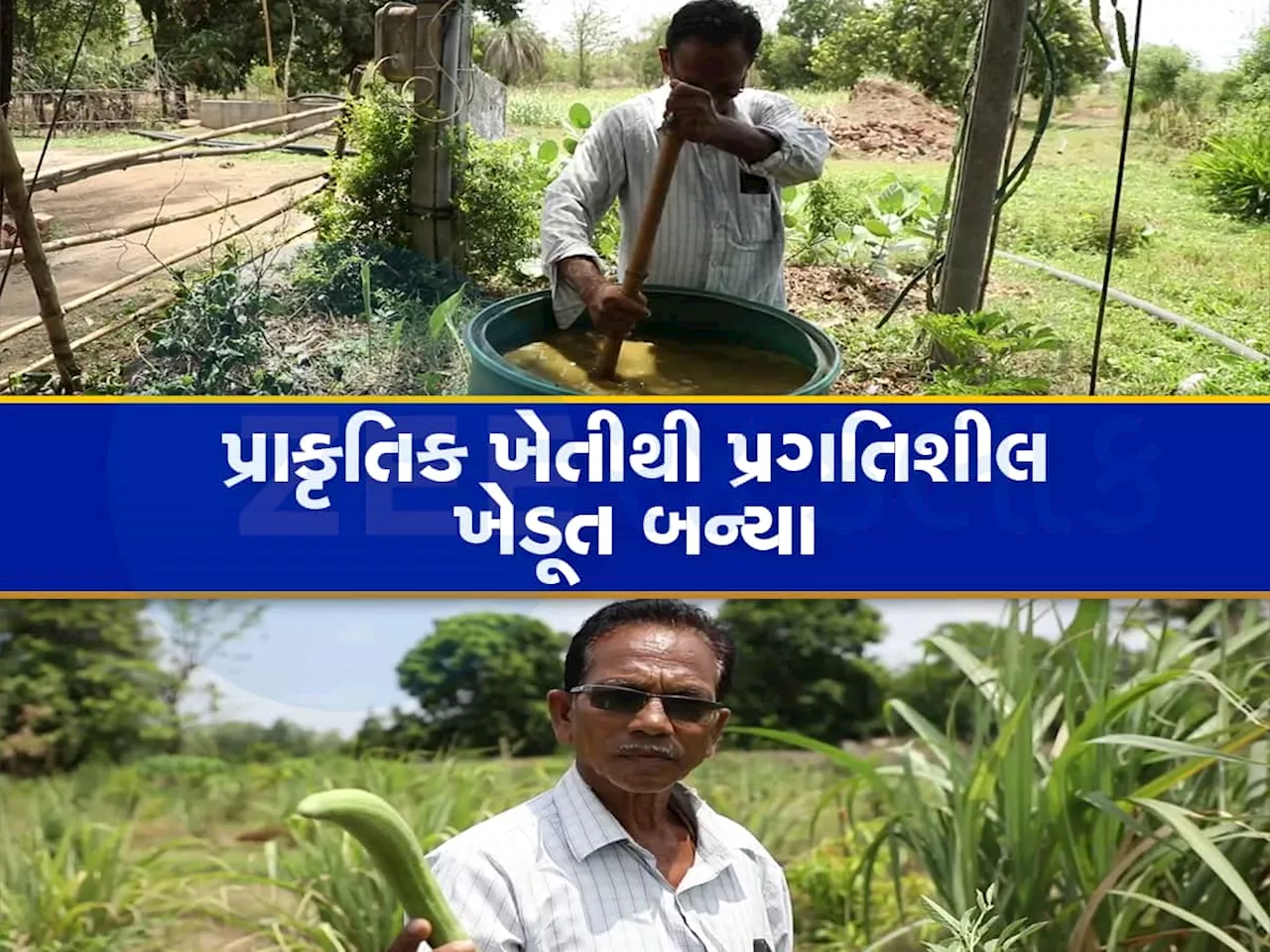 પ્રાકૃતિક ખેતી કરી લખપતિ બની શકાય? ગુજરાતના આ સાહસિક ખેડૂત છે તેનો મોટો પુરાવો