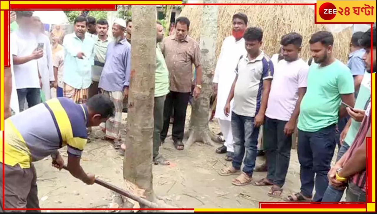 Bangladesh: গাছের ভিতর থেকে ভেসে আসছিল নারীকণ্ঠ! অবশেষে কেটে ফেলা হল সেই কথা বলা গাছ...