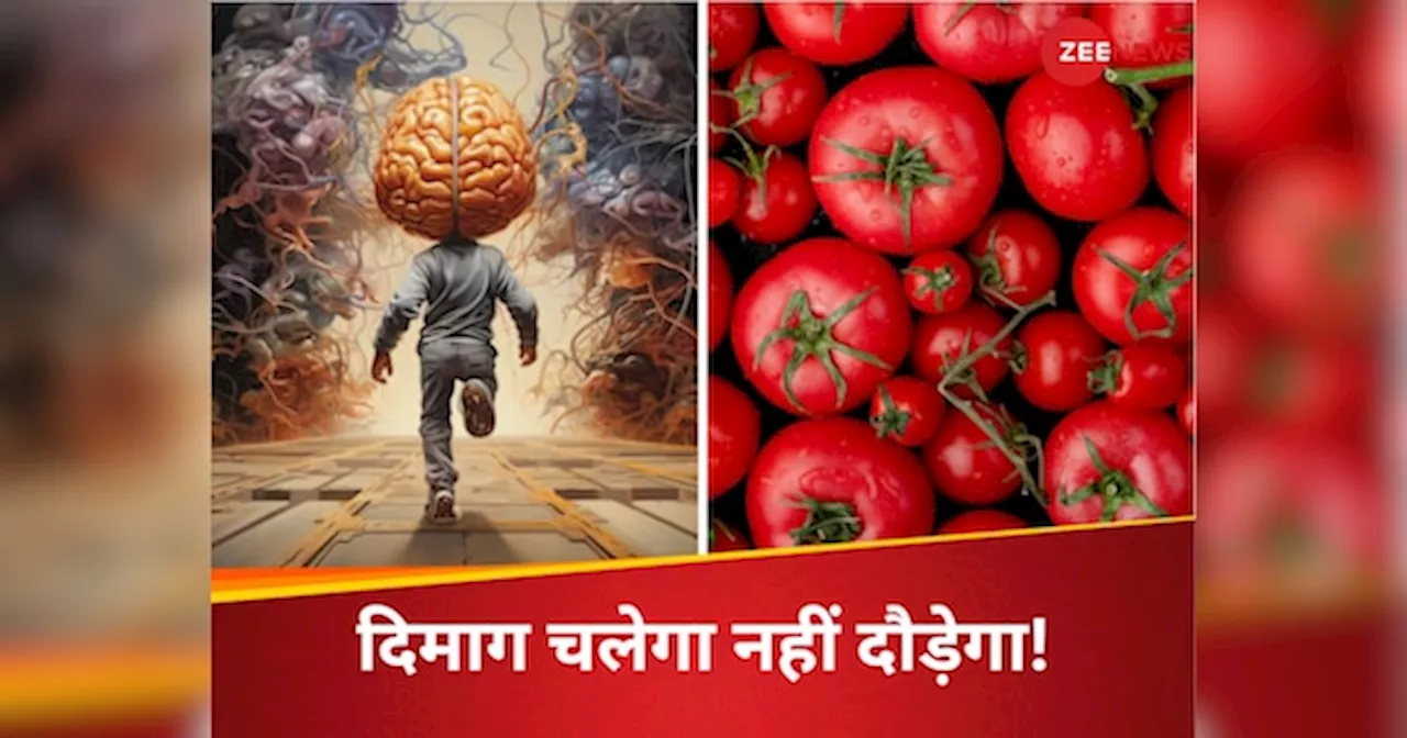 Food For Brain: कॉफी-टमाटर समेत ये 5 फूड्स ब्रेन के लिए हैं फायदेमंद, खाते ही दौड़ने लगेंगे दिमाग के घोड़े