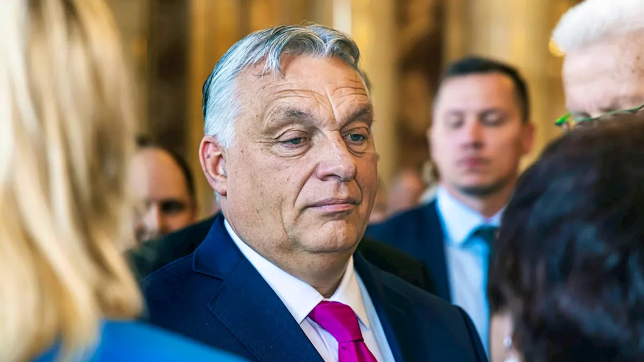 Eskorte von Viktor Orban verunfallt – ein Polizist tot