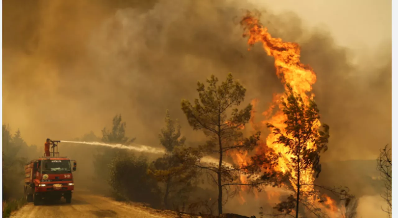 Turkey wildfire toll hits 15 as experts flag faulty wires