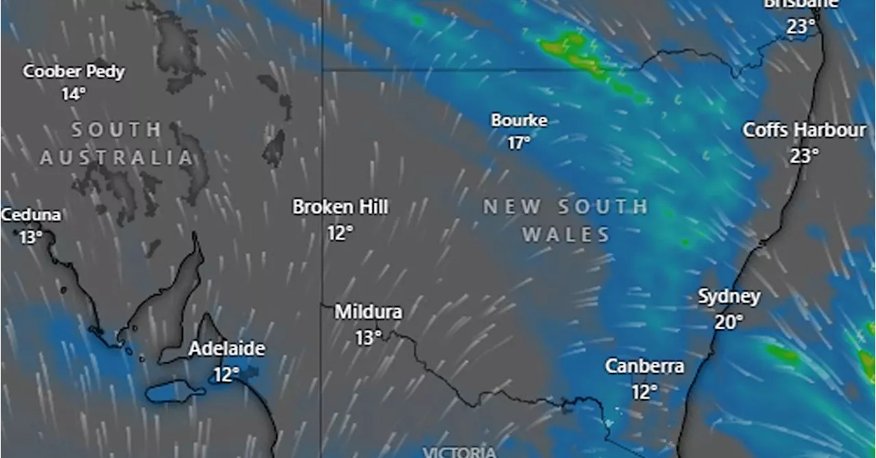 Sydney cops one year's rainfall in six months after weekend downpour