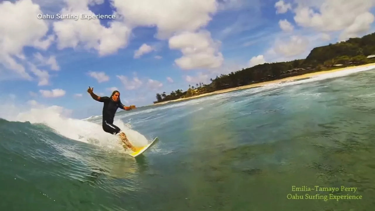 Pipeline surfer who appeared in 'Blue Crush' killed in shark attack in Hawaii, officials say