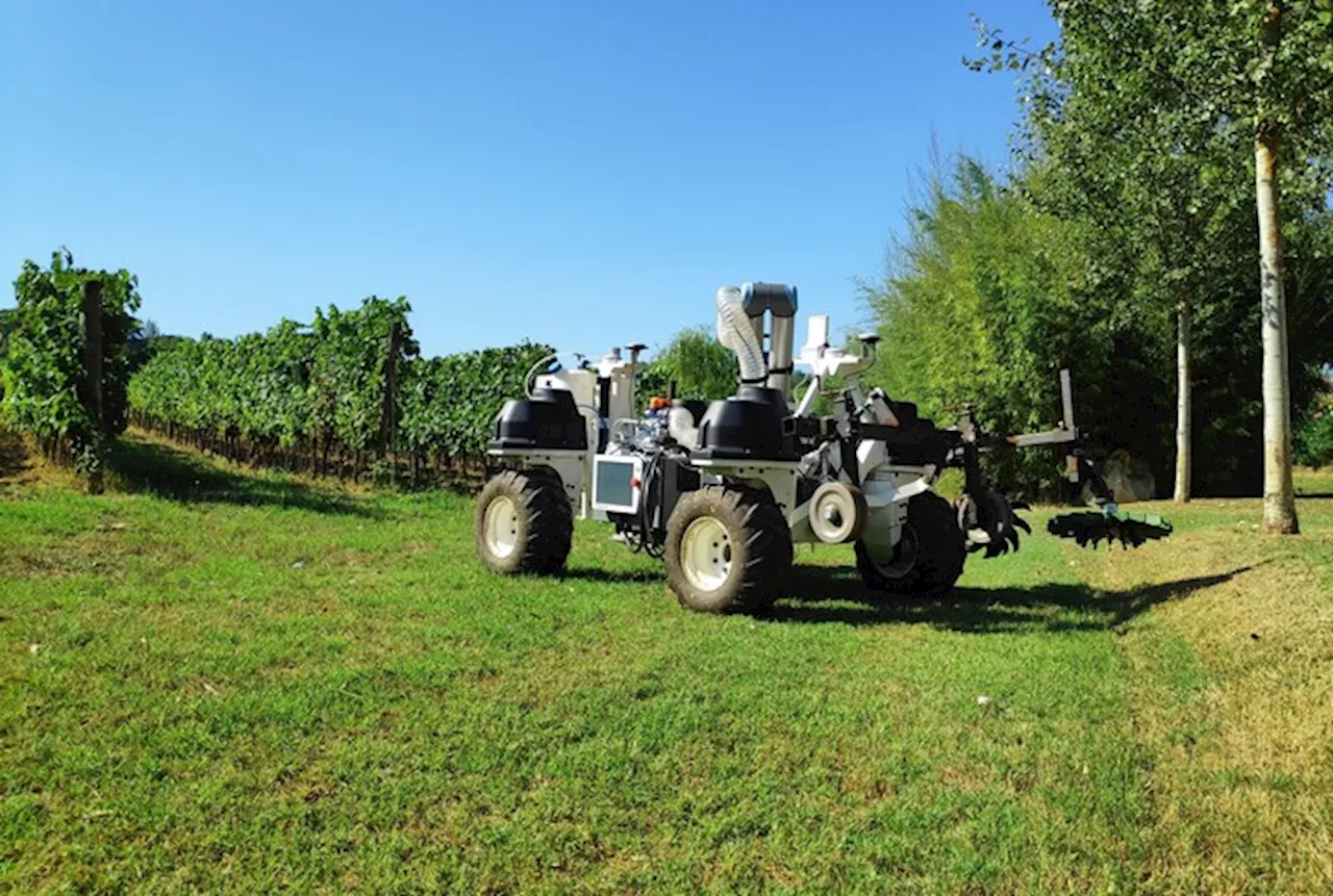 Intesa a 26 al Consiglio sul futuro dell'agricoltura, ma manca la Romania