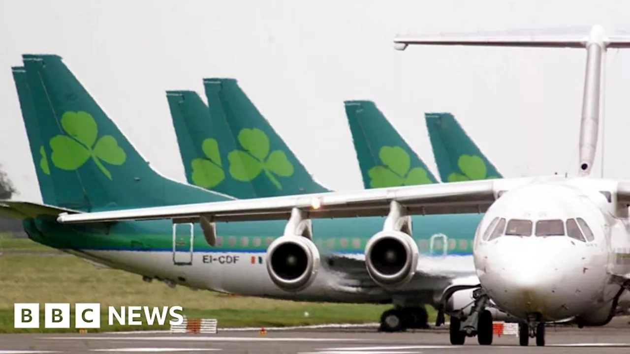 Aer Lingus: 'Public ignored' as flights cancelled during strike