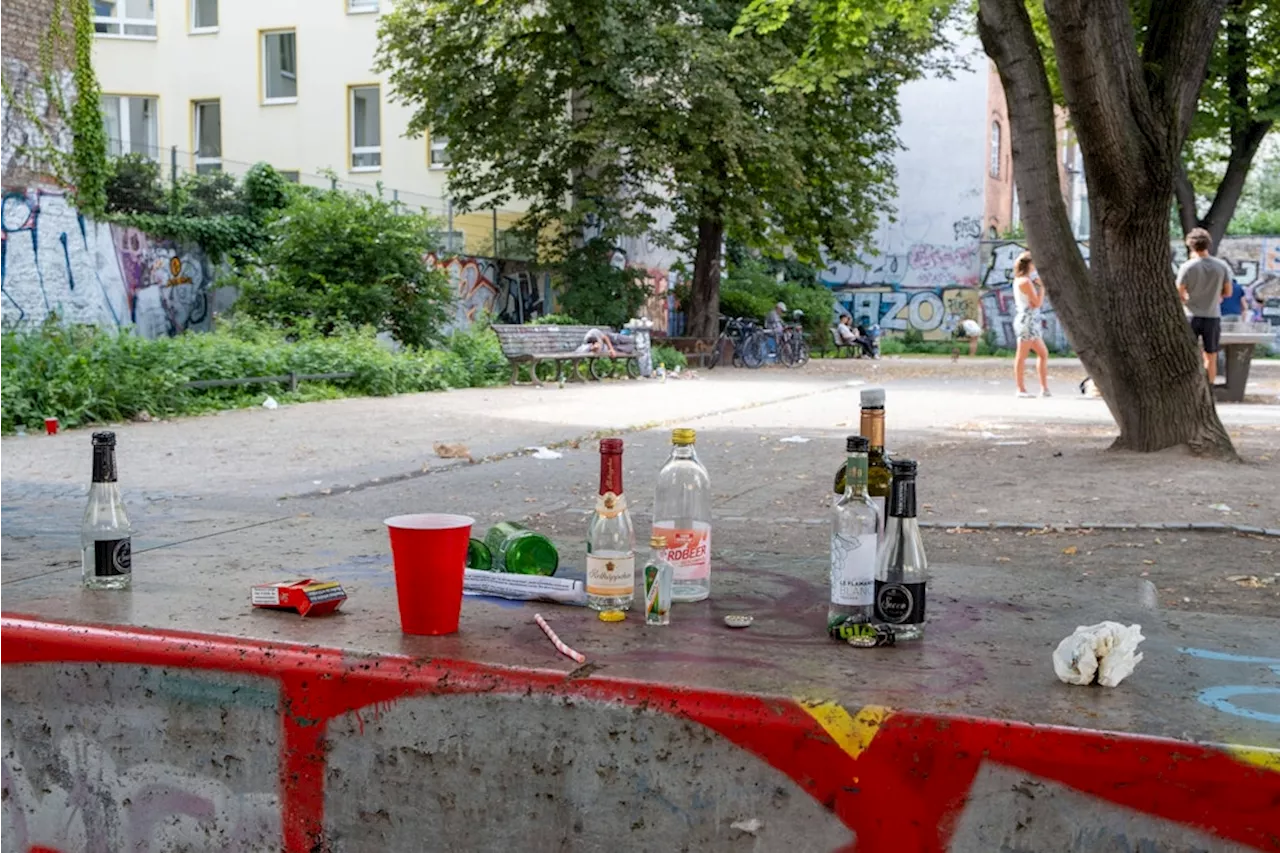 Charlottenburg-Wilmersdorf startet Kampagne gegen Ratten auf Spielplätzen