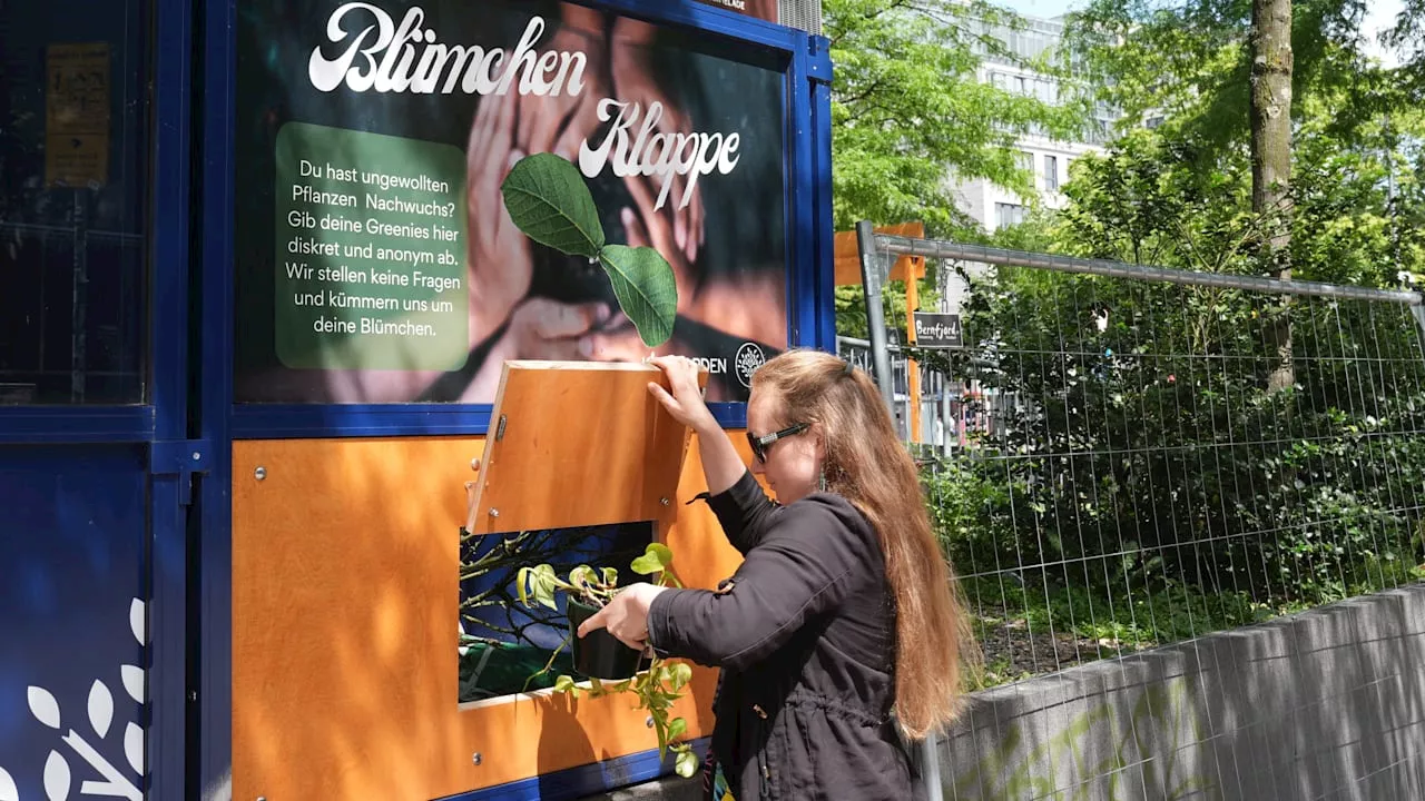 Neue Heimat für ungeliebte Pflanzen: Hamburg hat eine Blümchenklappe