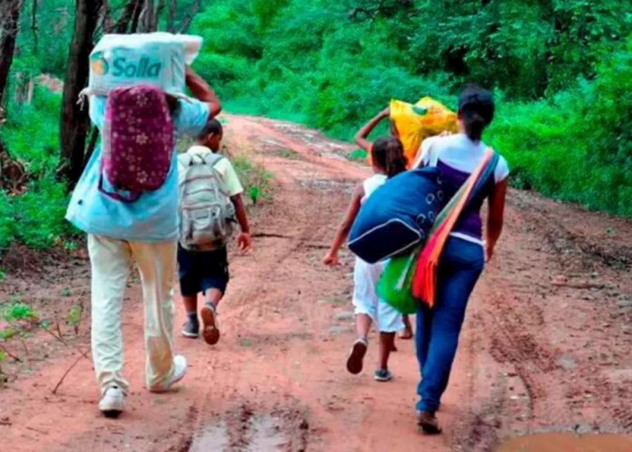 Más de 2.500 víctimas de desplazamiento han llegado este año a Medellín desde Antioquia y Chocó