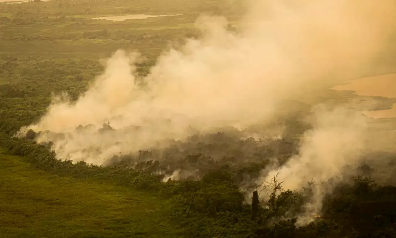 Com incêndios, Mato Grosso do Sul decreta situação de emergência