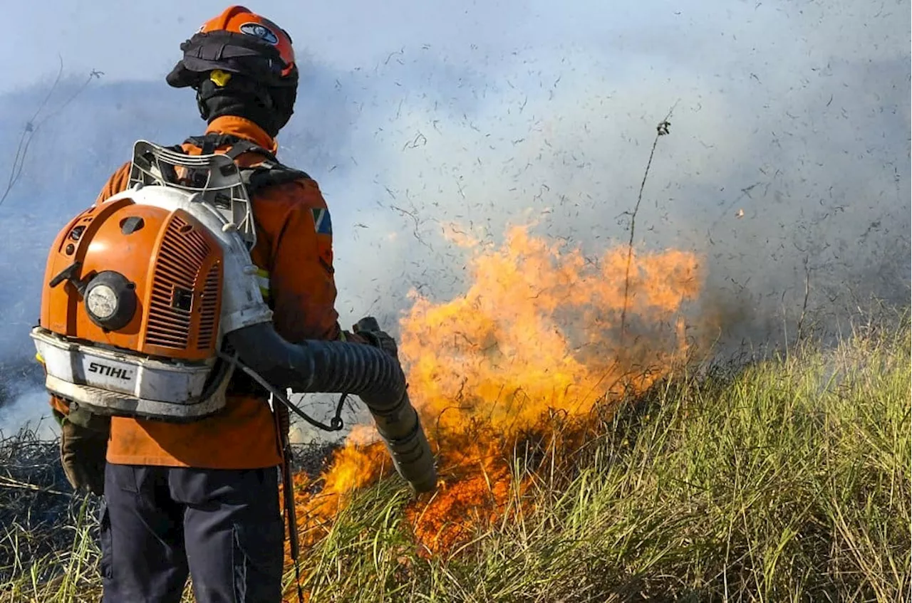 Situação no Pantanal é das piores já vistas, diz Marina; governo discute aumentar recursos