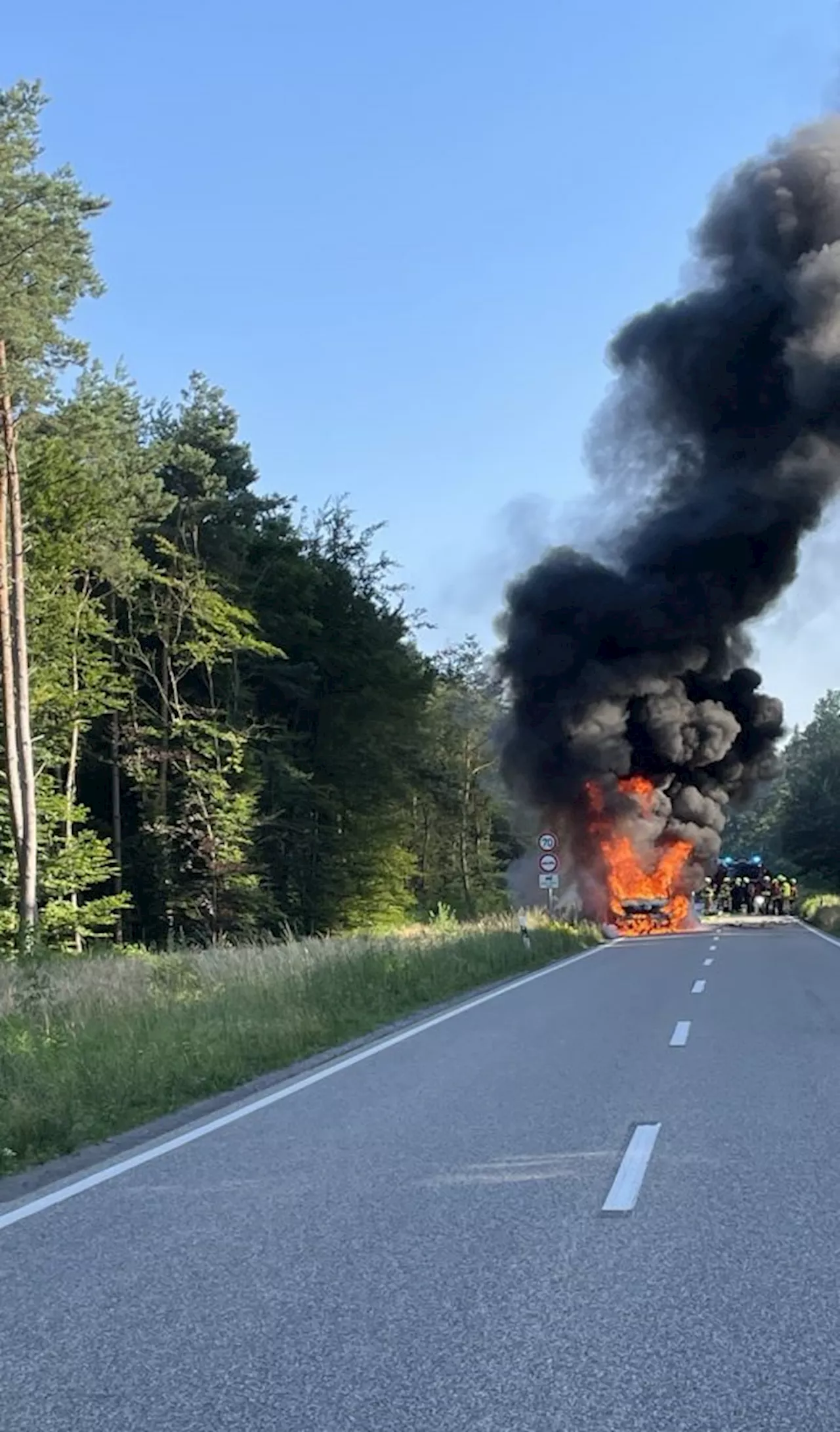 LKW Brand auf der Bienwald B 9 Höhe Büchelberg Vollsperrung