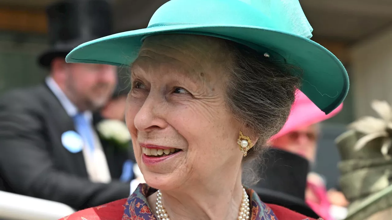 Princess Anne sustains minor injuries and a concussion in an ‘incident,’ Buckingham Palace says