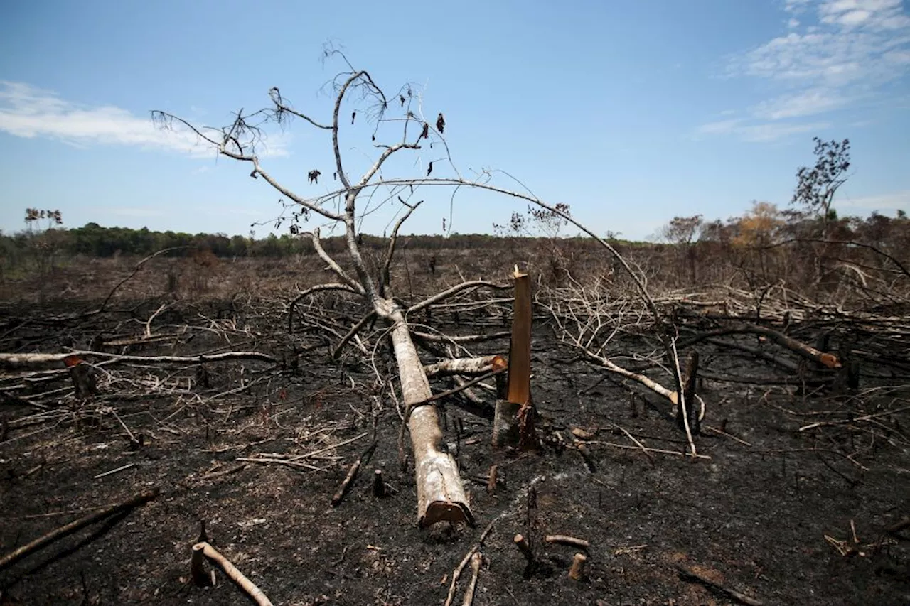 Clima extremo ameaça produção agrícola do Mar Negro ao Meio-Oeste dos EUA