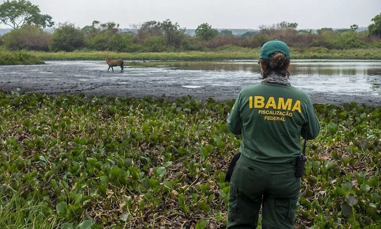 Greve no Ibama paralisa setores estratégicos da economia