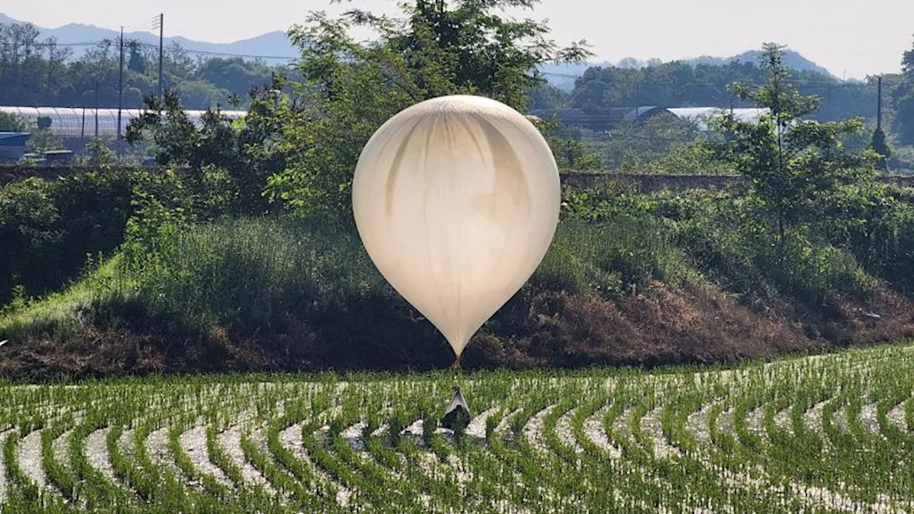 North Korean balloons ‘presumed’ to be carrying waste seen in South Korea as tensions flare