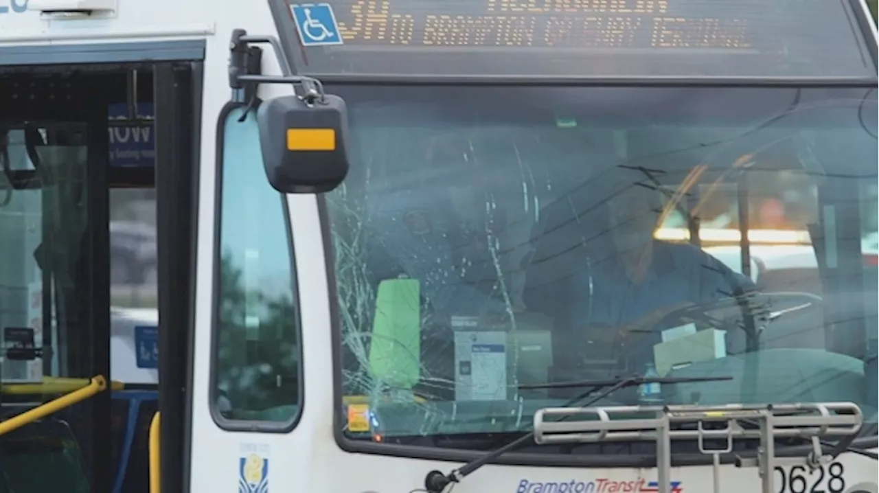 Man struck by driver of Brampton transit bus, say police