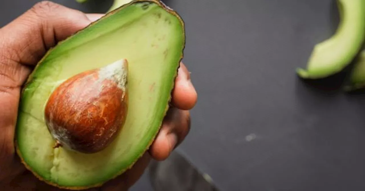 PALTA: qué dicen los estudios científicos que analizaron los BENEFICIOS de este superalimento para la salud