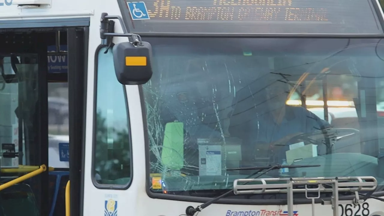 Man critical after being struck by driver of Brampton transit bus: police