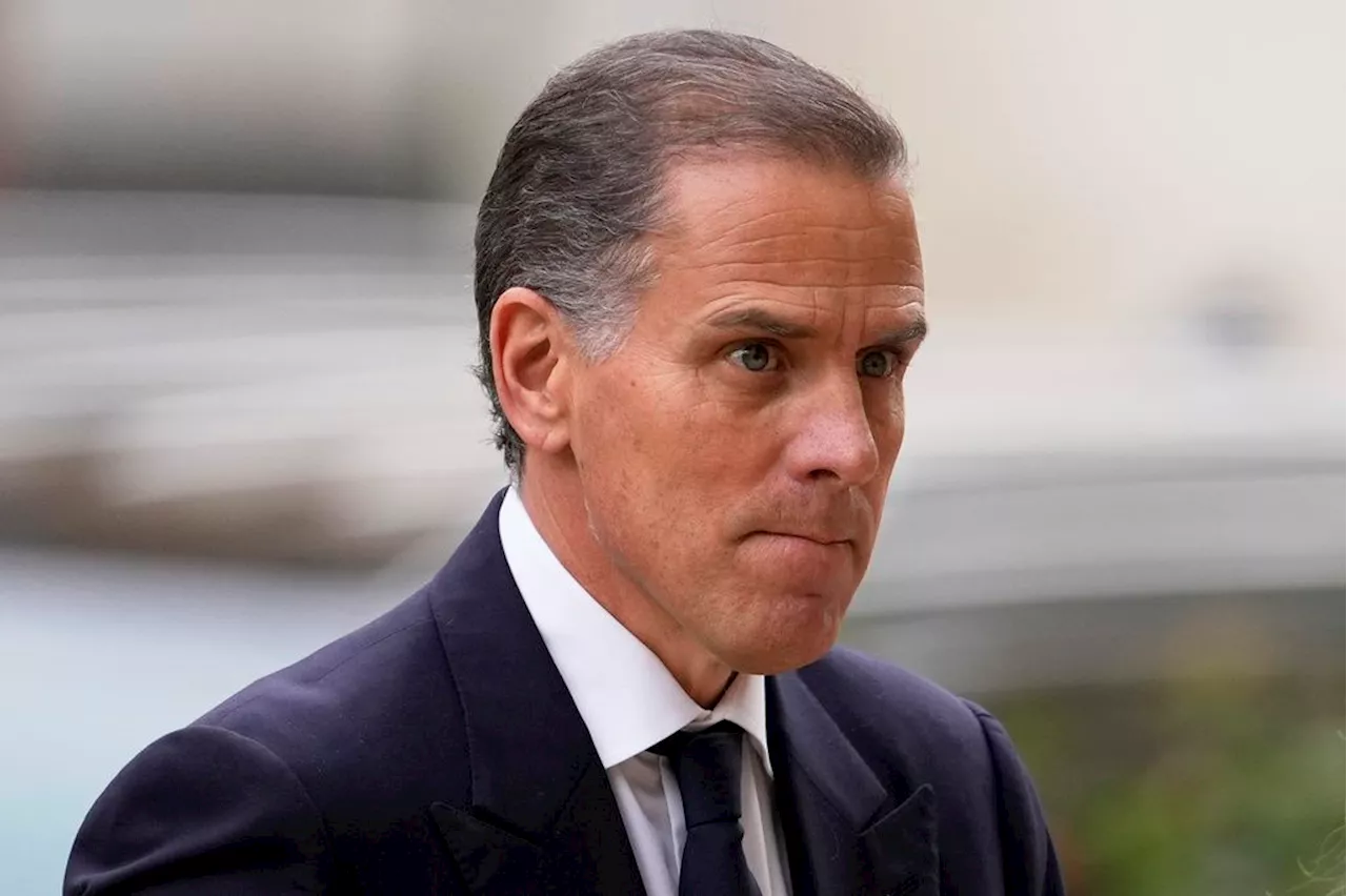 Hunter Biden seeks new trial in Delaware gun case