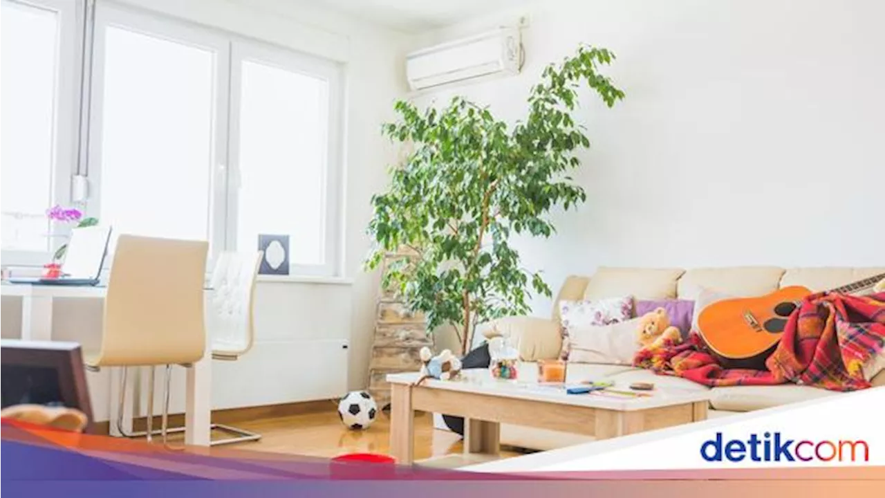 Jakarta Polusi, Ini 3 Tips Jaga Kualitas Udara di Rumah Tanpa Air Purifier