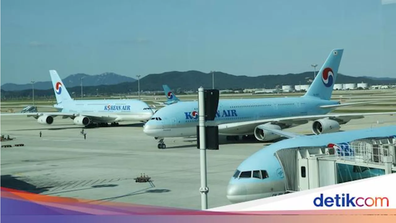 Spesifikasi Boeing 737 Max 8 Milik Korean Air yang Sempat Terjun Bebas di Udara