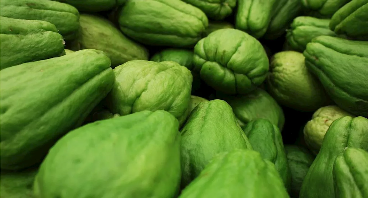 Mercados venden hasta en $120 el kilo de chayote; autoservicios en más de 90 pesos