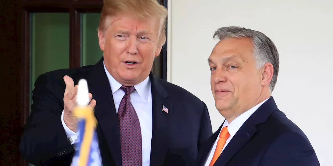 Orban setzt auf Trump für Bemühungen um Waffenstillstand in der Ukraine