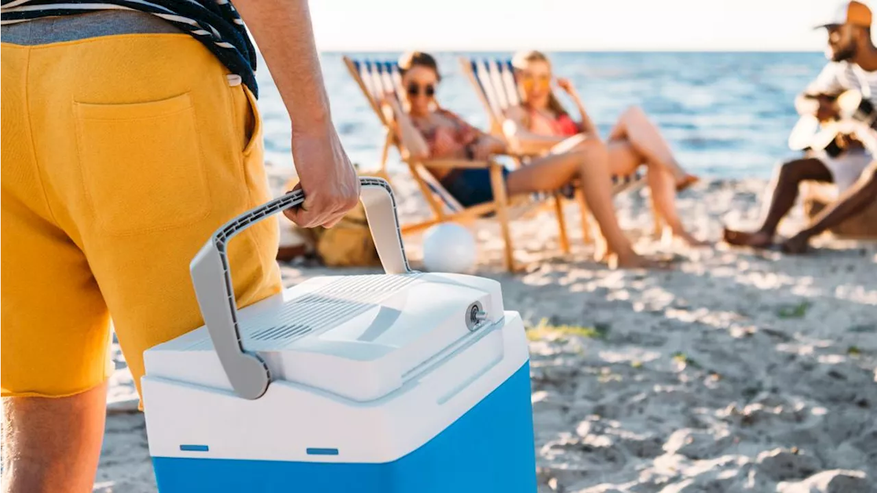 How to safely pack a cooler so you don't get sick on a summer day