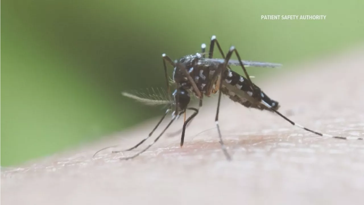 Year's first positive sample for West Nile Virus collected in Cumberland County